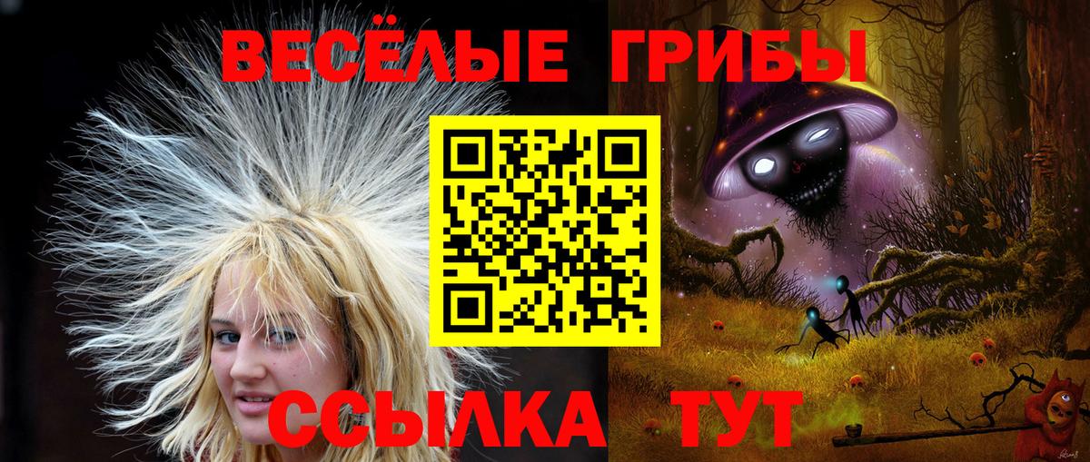 Псилоцибиновые грибы Cubensis Чехов
